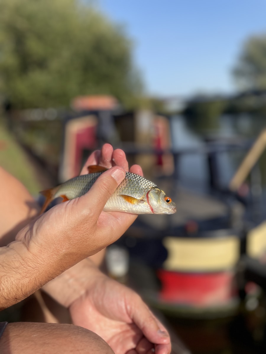 Fishing